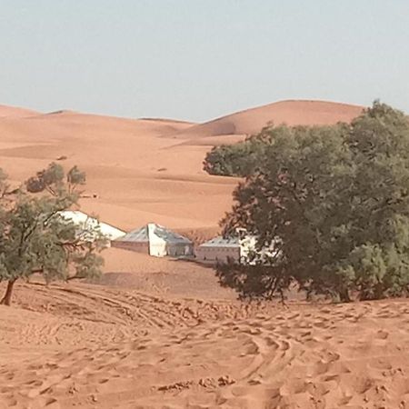 Bivouac Camel Trips Hotel Merzouga Ngoại thất bức ảnh
