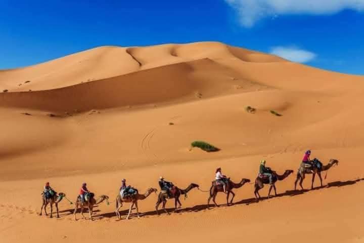 Bivouac Camel Trips Hotel Merzouga Ngoại thất bức ảnh