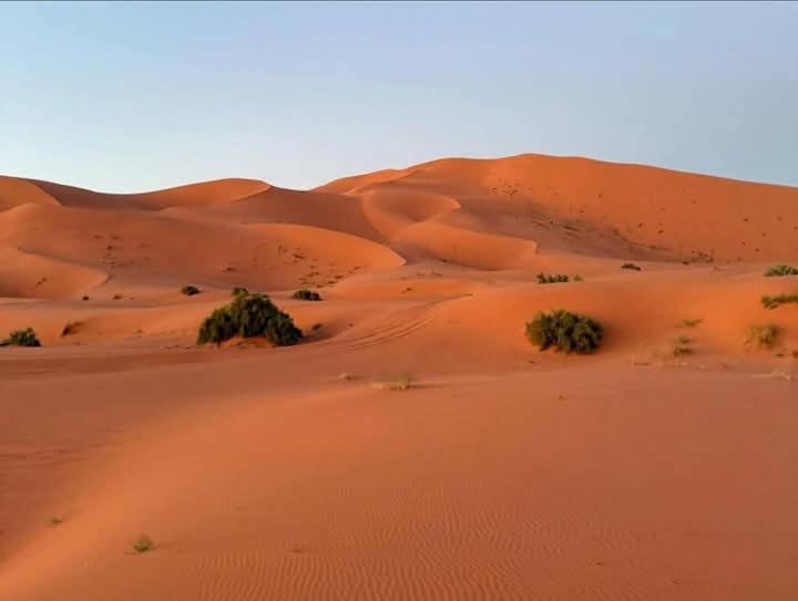 Bivouac Camel Trips Hotel Merzouga Ngoại thất bức ảnh