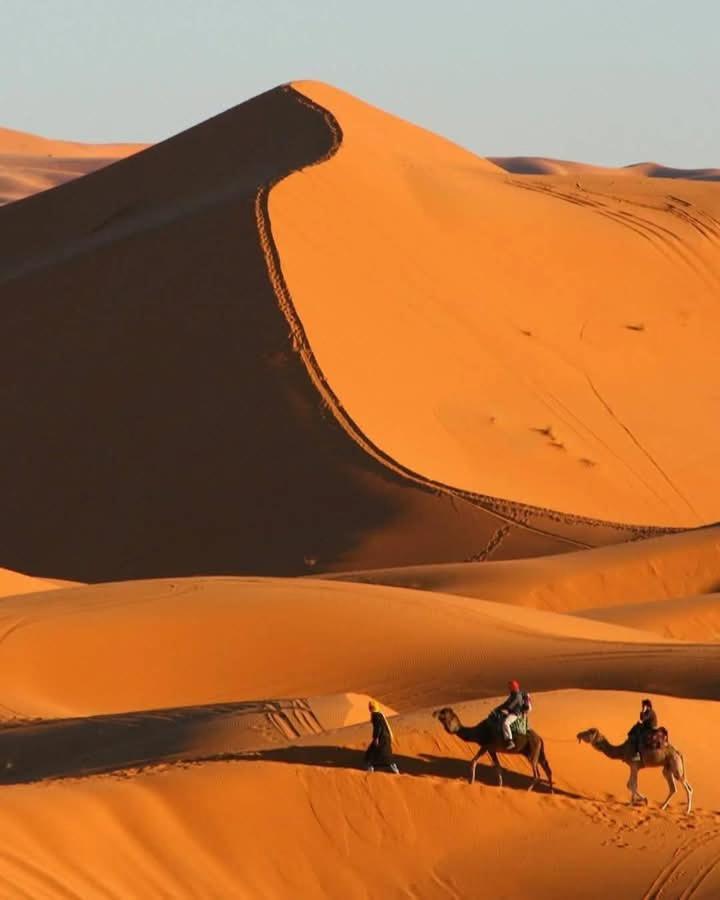 Bivouac Camel Trips Hotel Merzouga Ngoại thất bức ảnh