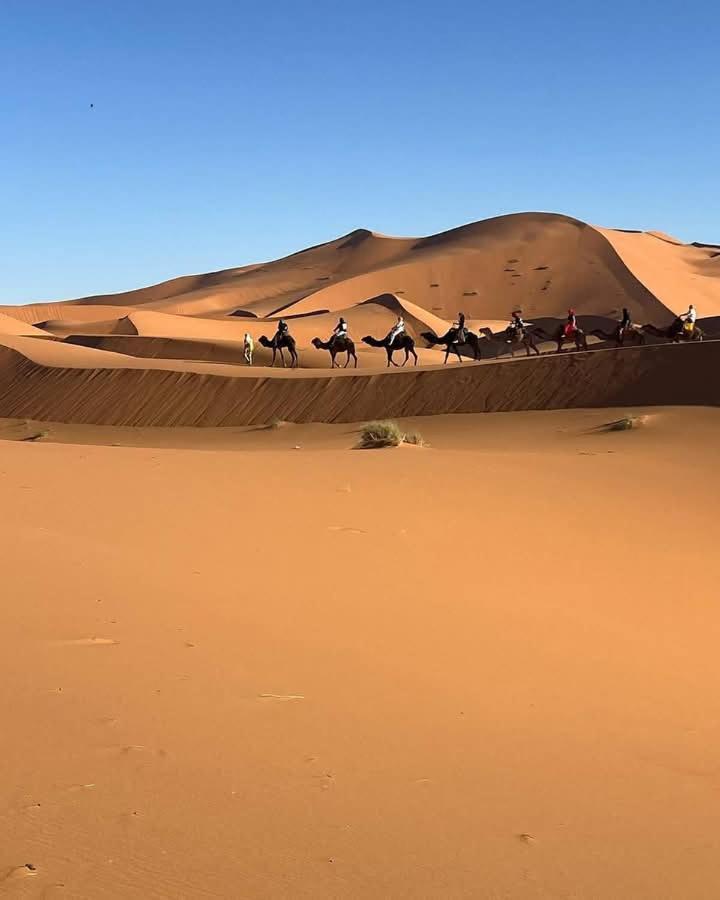 Bivouac Camel Trips Hotel Merzouga Ngoại thất bức ảnh